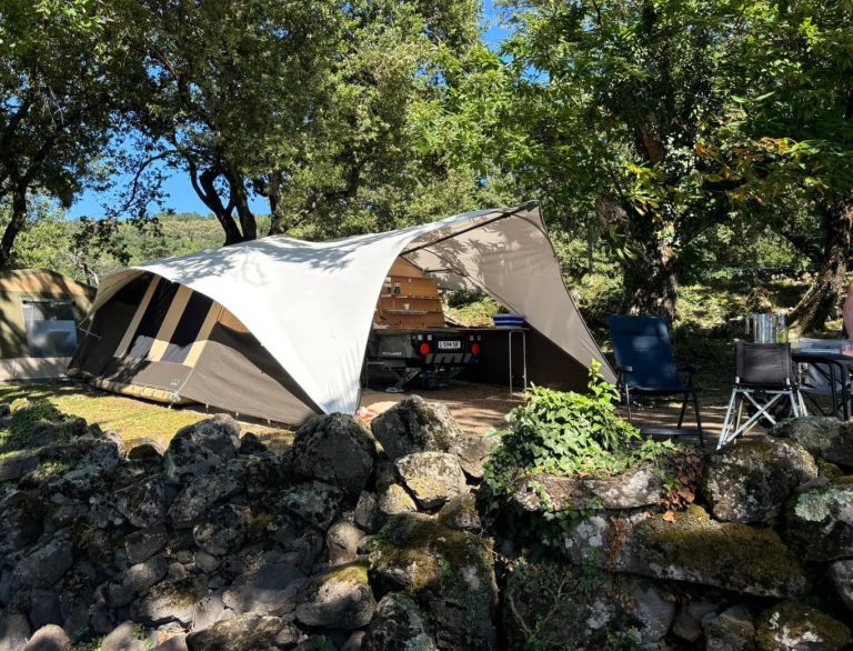 Customer review photo of the Van der Werf family with Holtkamper